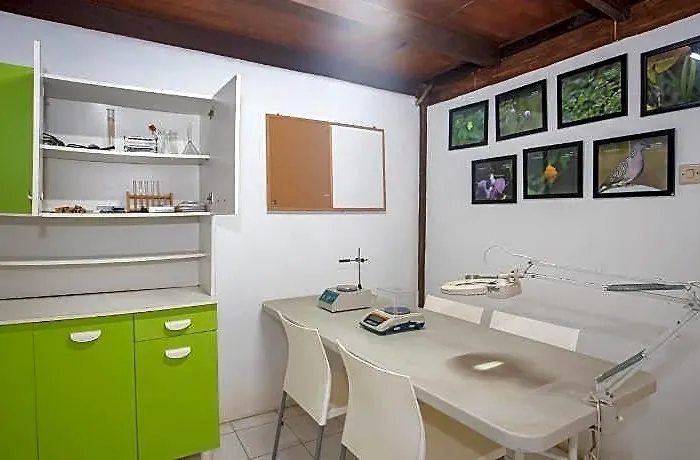 Menjangan - Chse Certified Vakantiehuis *